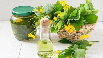 Boil celandine for the treatment of nail fungus