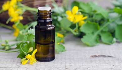 Celandine juice for the treatment of nail fungus