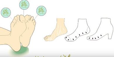 prevent the appearance of fungus on the toes