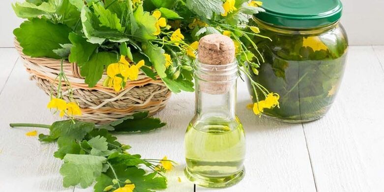 Treatment of toenail fungus with a decoction of celandine